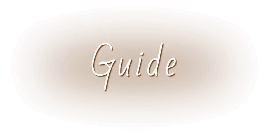 Guide